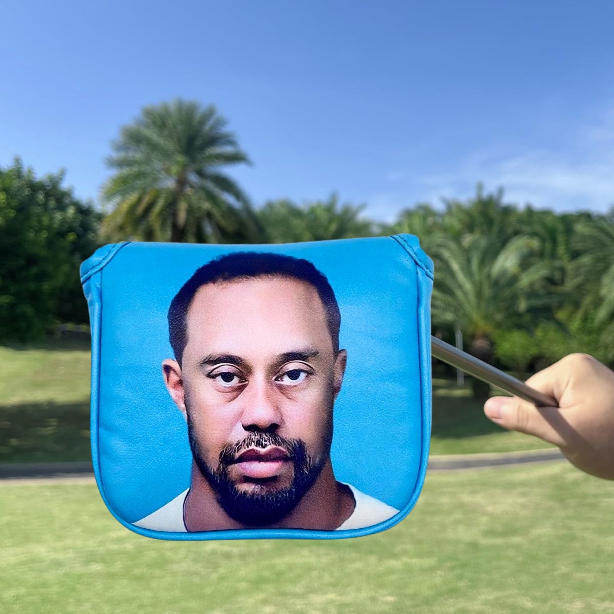 Divertenti mazze da golf Putte - Golf Putter recensione e prezzo
